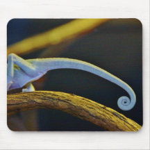 Long Chameleon Tail Mouse Pads