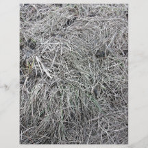 Long Dead Grass Ground Flyer Design