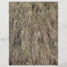 Long dead grass texture flyer