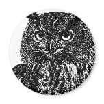 Long Eared Owl magnets