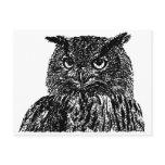 Long Eared Owl postcards