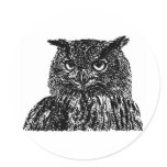 Long Eared Owl stickers