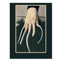 Long Fingernails, Circus Oddity Cards Post Card