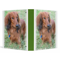 Long Hair Dachshund Binder