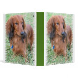 Long Hair Dachshund Binder
