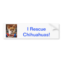 Long Haired Chihuahua Bumper Sticker