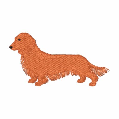 Long-haired Dachshund