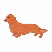 Long-haired Dachshund