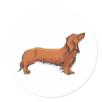 Long Haired Dachshund Round Stickers