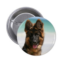 Long Haired German Shepherd Beach Pins