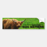 Long haired Highland Cow with Long Horns Bumper Stickers