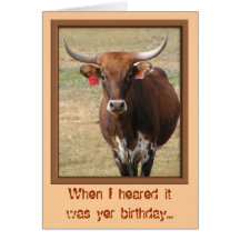 Long-horn Steer Birthday Card