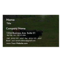 Long Horned Cattle Business Cards