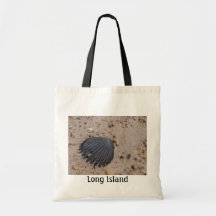 Long Island Scallop Shell Bag