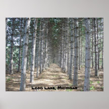 Long Lake, Michigan Poster
