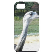 Long Neck Ostrich Profile iPhone 5 Covers