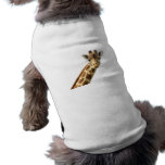 Long Necked Giraffe Pet Shirt