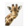 Long Necked Giraffe Postcard