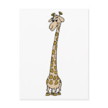 Long Necked Giraffe Post Cards