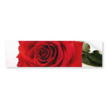 Long Stem Red Rose Bumper Sticker