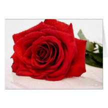 Long Stem Red Rose Greeting Card