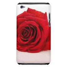 Long Stem Red Rose iTouch Case iPod Case-Mate Cases