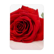 Long Stem Red Rose Premium Magnet