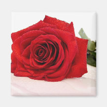 Long Stem Red Rose Square Magnet