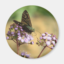 Long-tailed Skipper Magnet