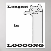 Longcat is Long