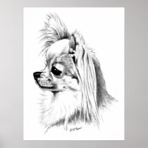 Longcoat Chihuahua Champion Print