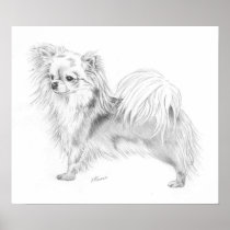 Longcoat Chihuahua Champion Print