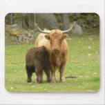 Longed Horn Cattle Mama & Baby Mousepad
