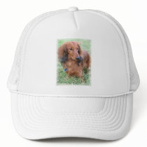 Longhaired Dachshund Baseball Cap Mesh Hat