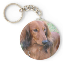 Longhaired Dachshund Keychain