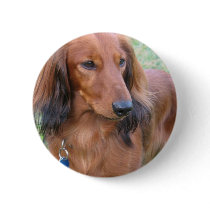 Longhaired Dachshund Round Pin