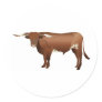 Longhorn Cattle Round Stickers