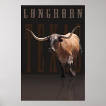 Longhorn Power Poster