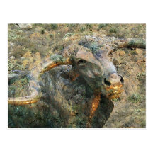 Longhorn Spirit Postcard