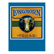Longhorn Texas Postcard
