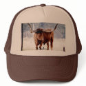 Longhorn Truckers hats