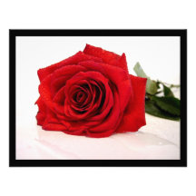 Longue invitation de rose rouge de tige