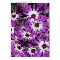 Longwood Gardens, PA Greeting Card