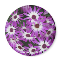 Longwood Gardens, PA Refrigerator Magnet