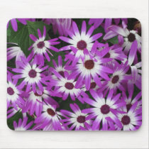 Longwood Gardens, PA Mouse Pad