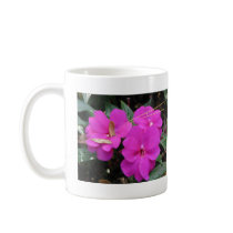 Longwood Gardens, PA Coffee Mugs