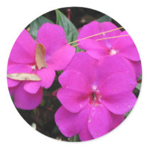 Longwood Gardens, PA Round Sticker
