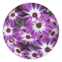 Longwood Gardens, PA Round Stickers