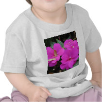 Longwood Gardens, PA Tshirt