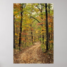 Lonley Road In The Ozarks Print